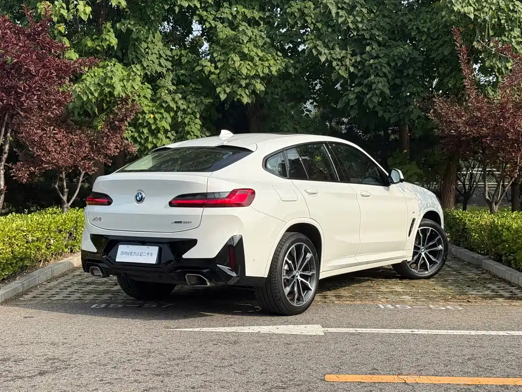 BMW X4 — миниатюра 4