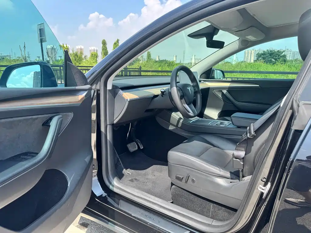 Tesla Model Y — миниатюра 6