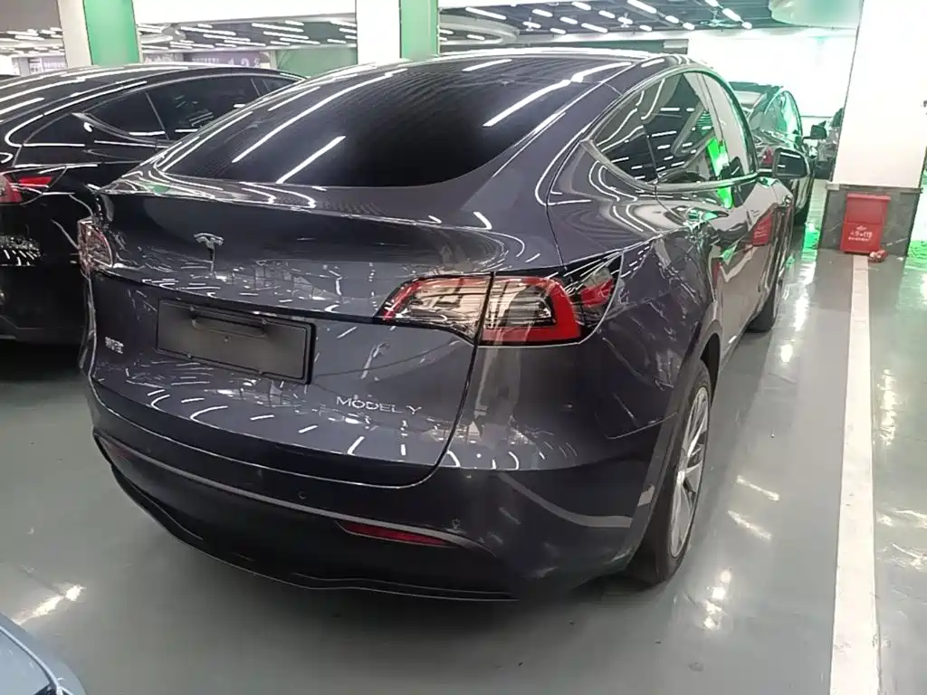 Tesla Model Y — миниатюра 7