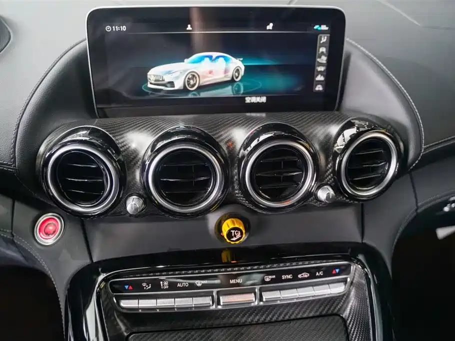 Mercedes-Benz AMG GT AMG GT R PRO, фото 17
