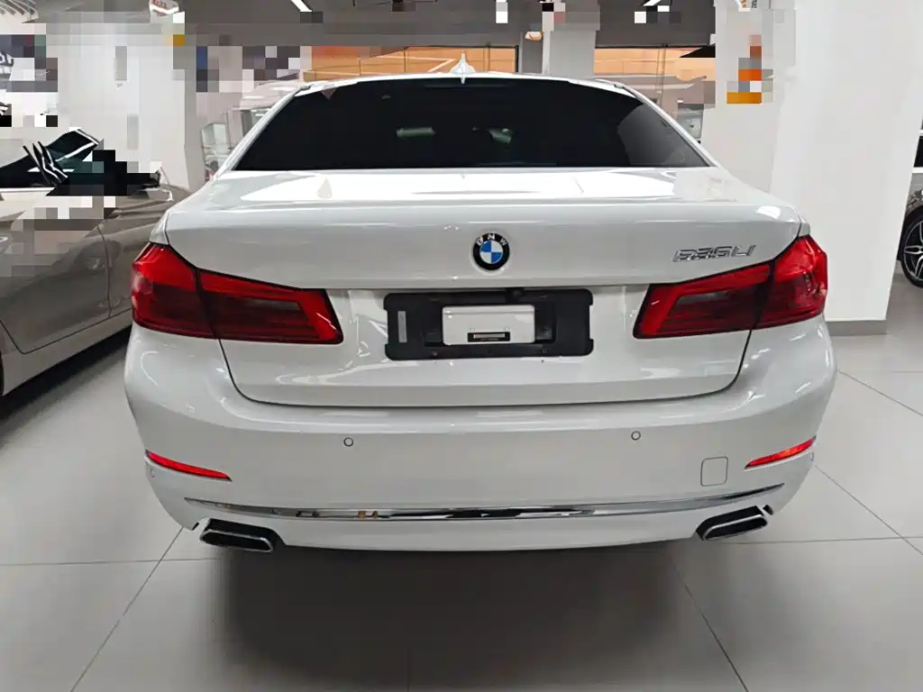 BMW 5 Series 5 2019 525Li Luxury
