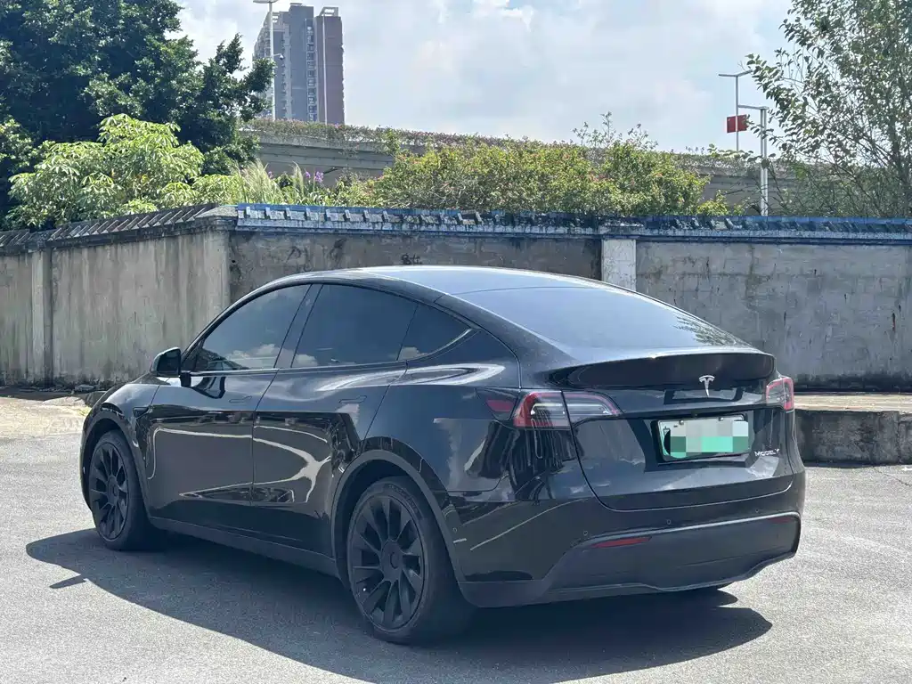 Tesla Model Y — миниатюра 4
