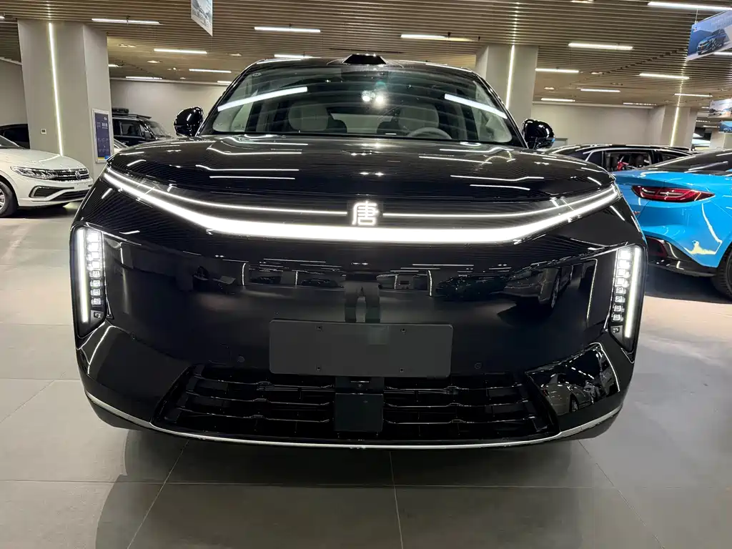 BYD Datang