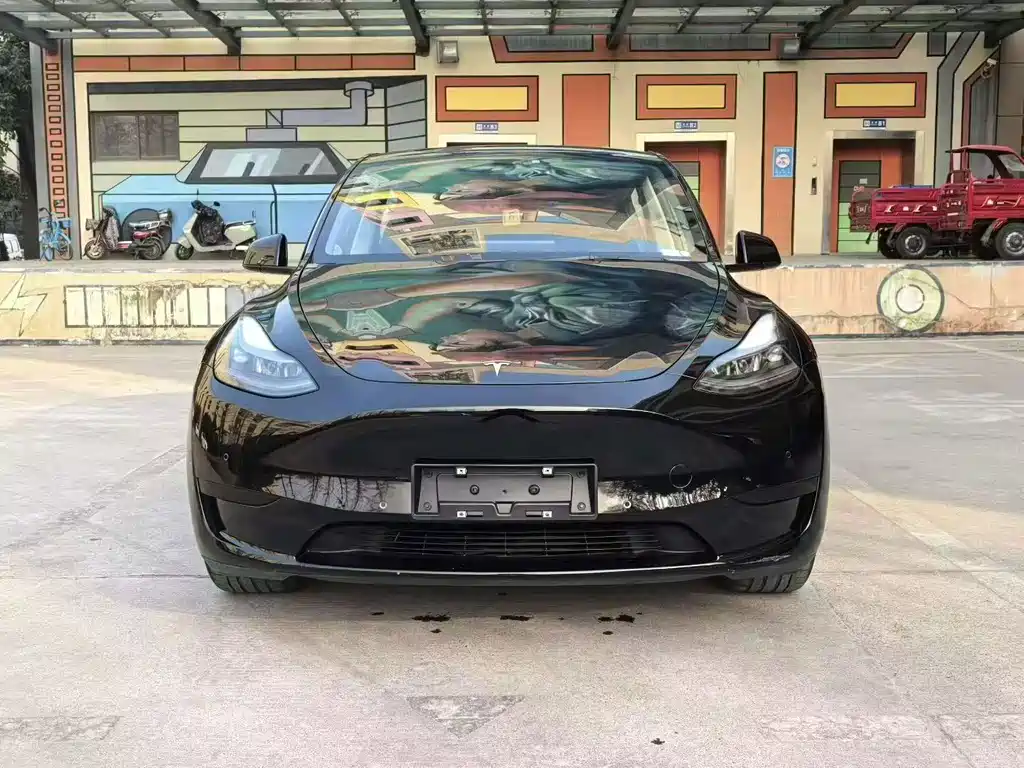 Tesla Model Y — миниатюра 2