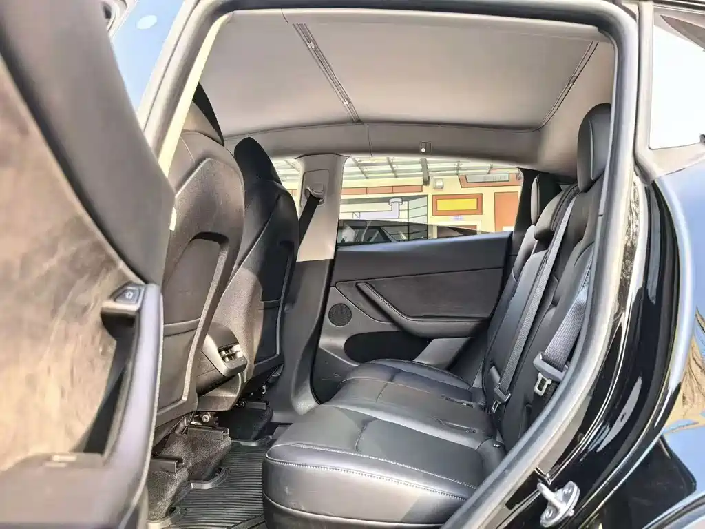 Tesla Model Y — миниатюра 6