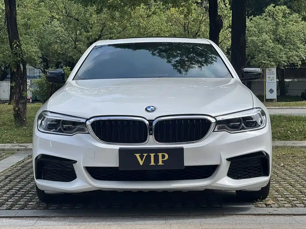 BMW 5 Series — миниатюра 3