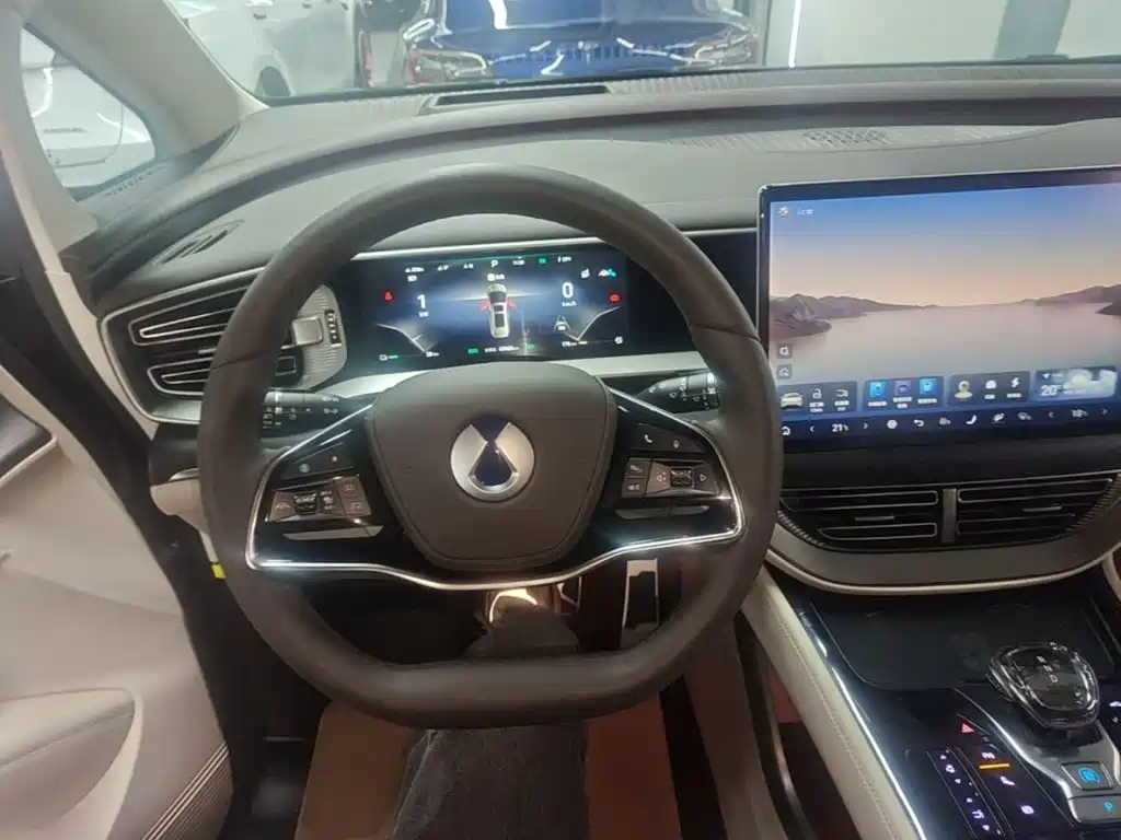 Denza Denza D9 — миниатюра 11