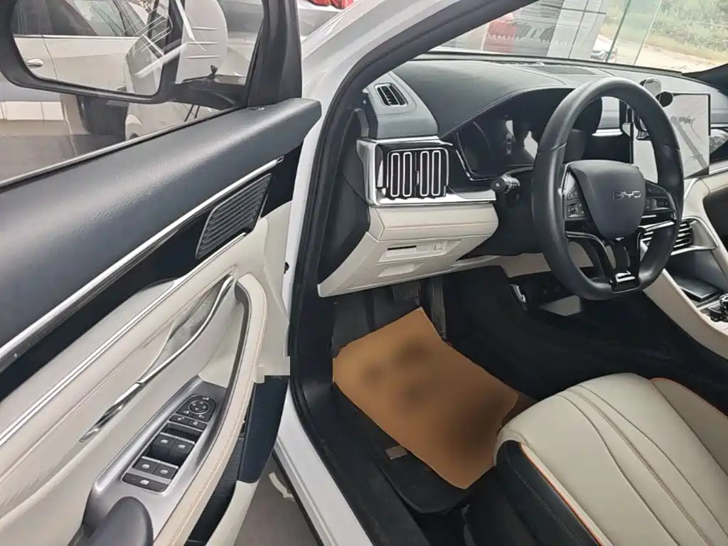 BYD PLUS New Energy — миниатюра 16