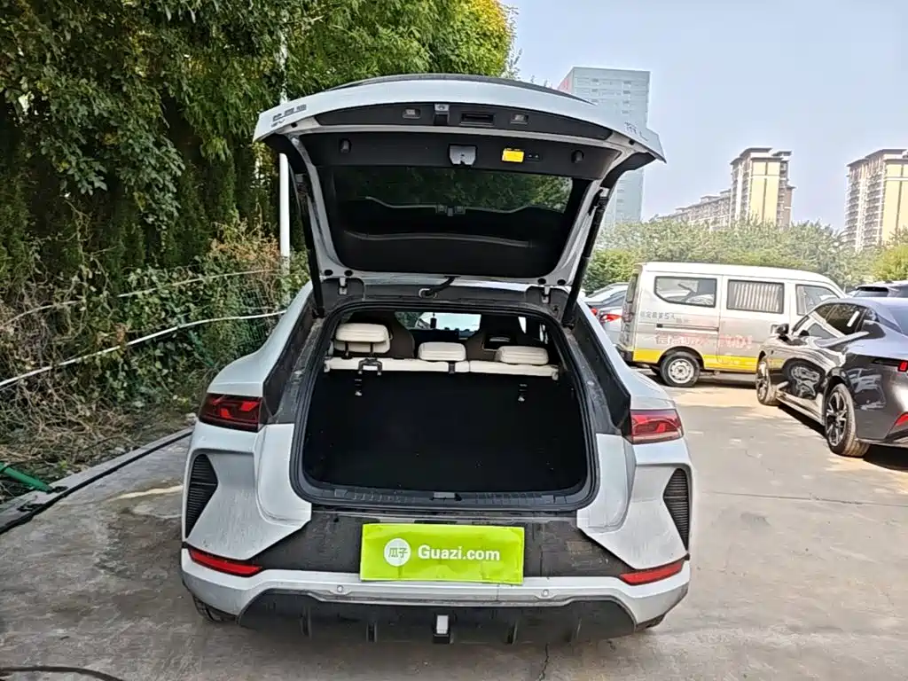 BYD L EV — миниатюра 19