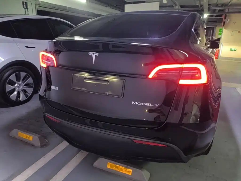Tesla Model Y — миниатюра 6