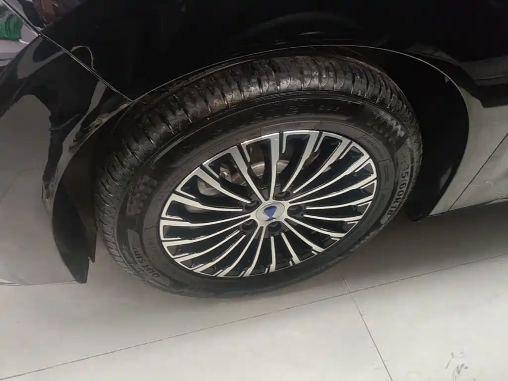 Denza Denza D9 — миниатюра 23