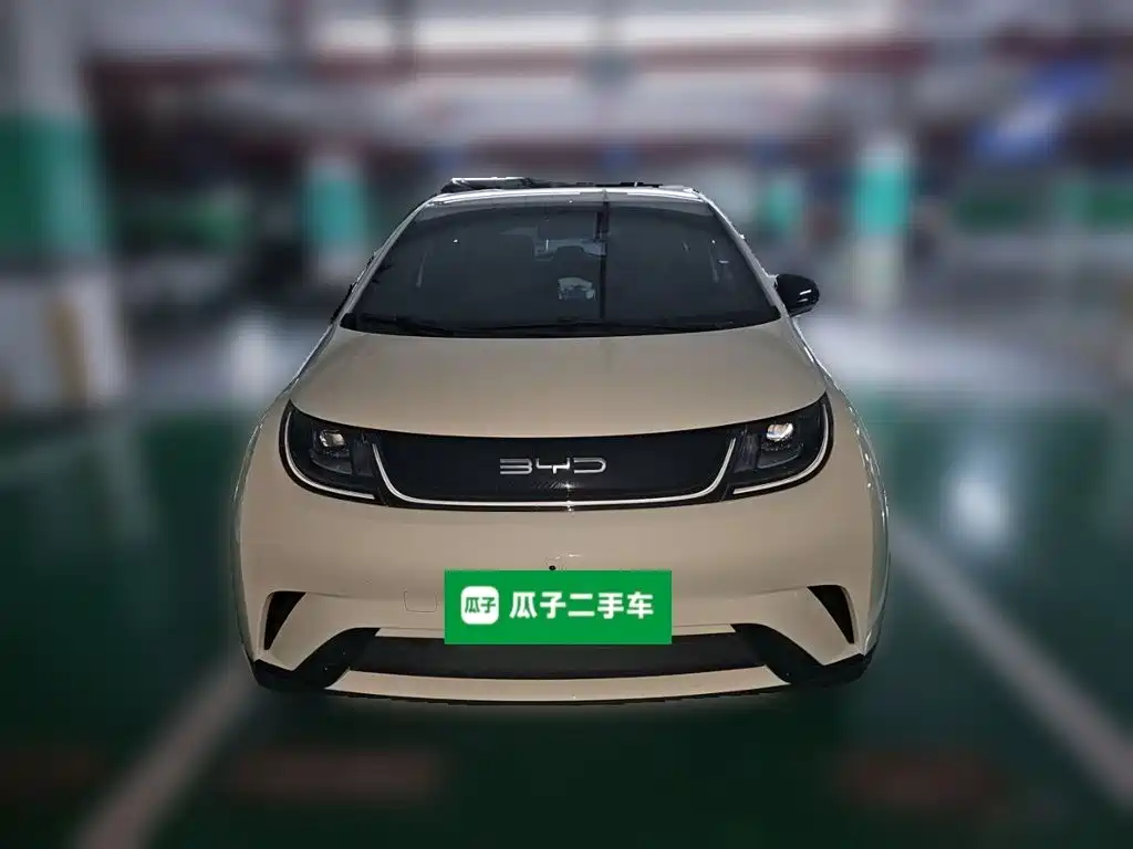 BYD Dolphin — миниатюра 3