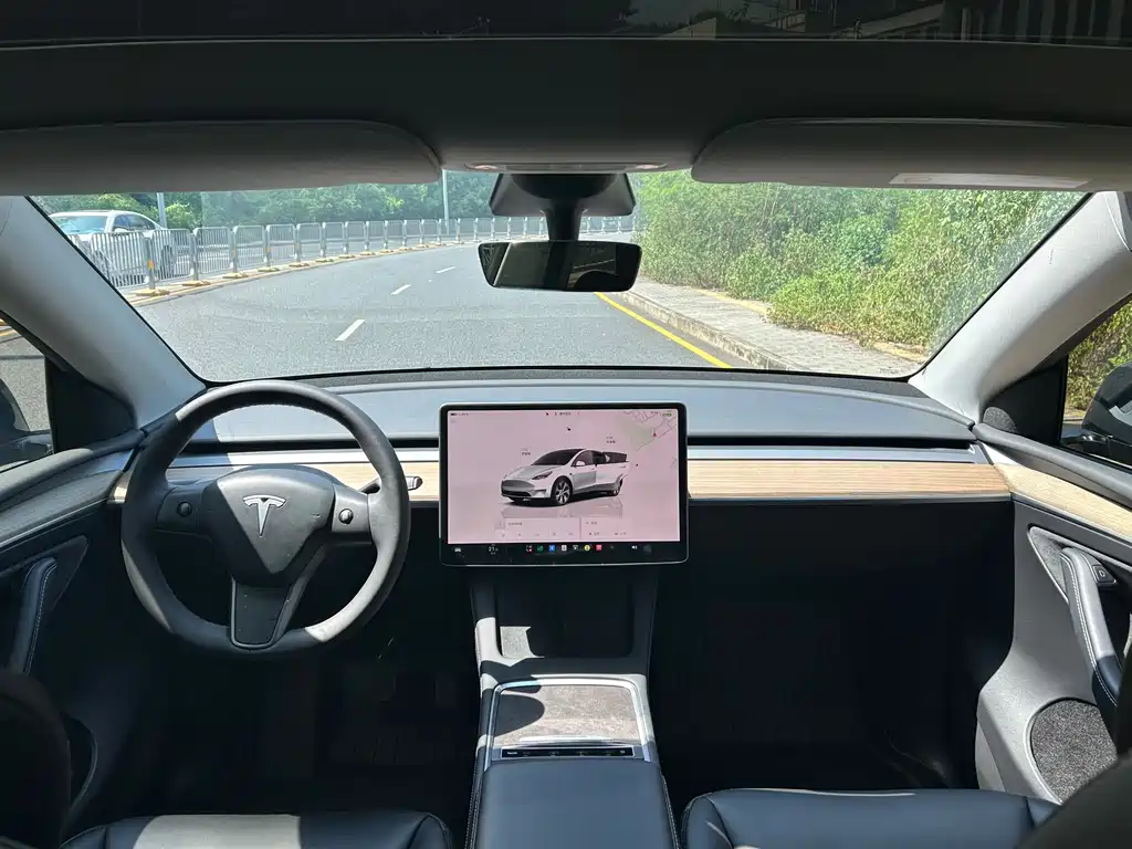 Tesla Model Y — миниатюра 5