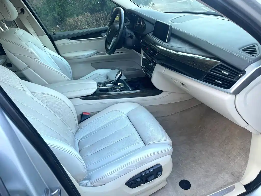 BMW X5 New Energy (Import) — миниатюра 5
