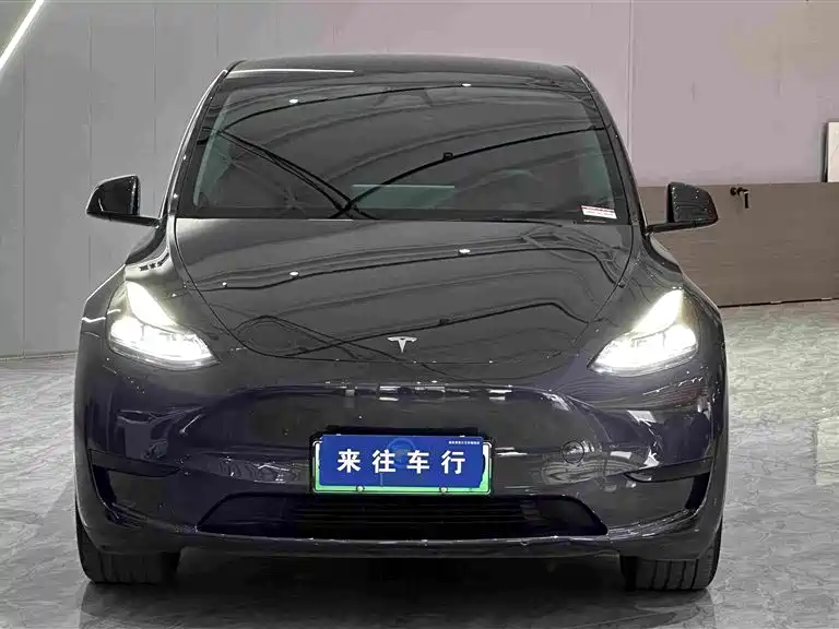 Tesla Model Y — миниатюра 3