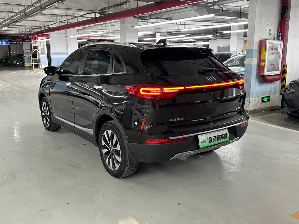 WM Motor EX5 — миниатюра 4