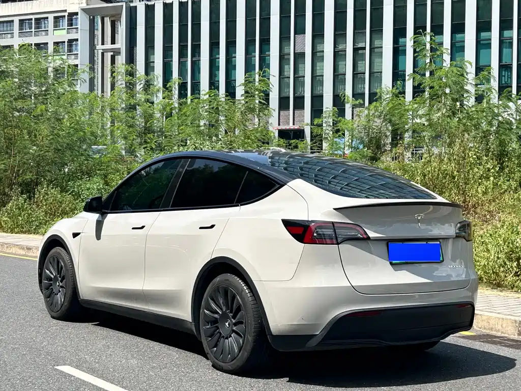 Tesla Model Y — миниатюра 9