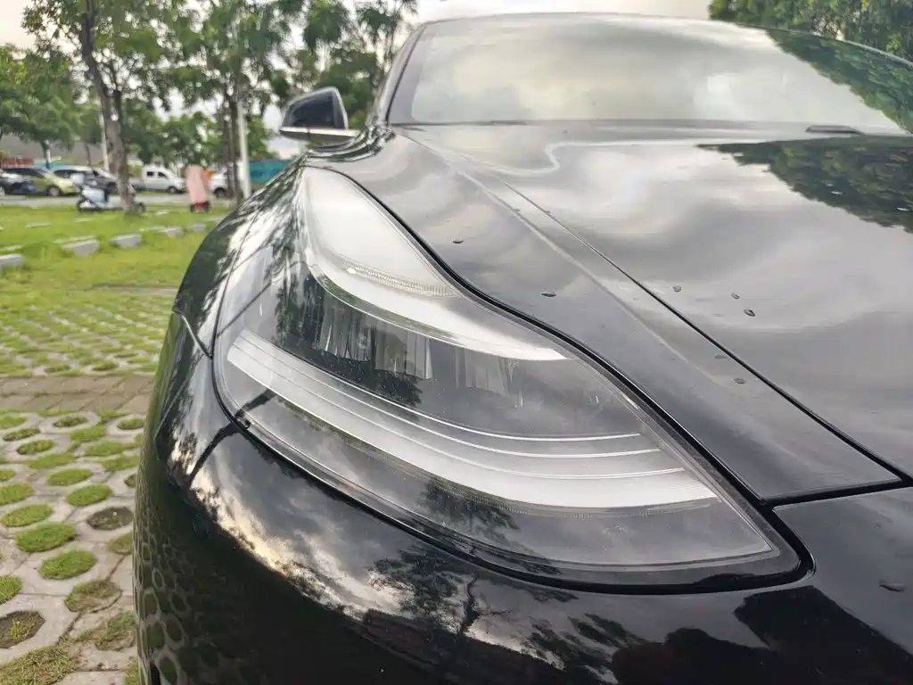 Tesla Model 3 2019 Performance