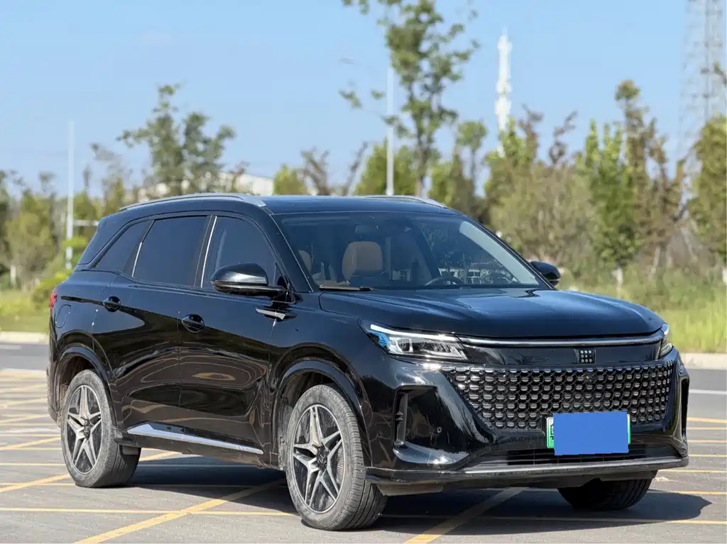 Landian Landian E5 — миниатюра 3