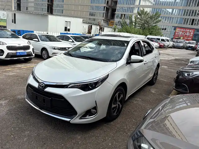 TOYOTA LEI LING 2019