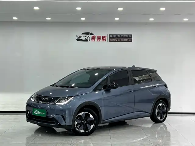 BYD DOLPHIN 2024