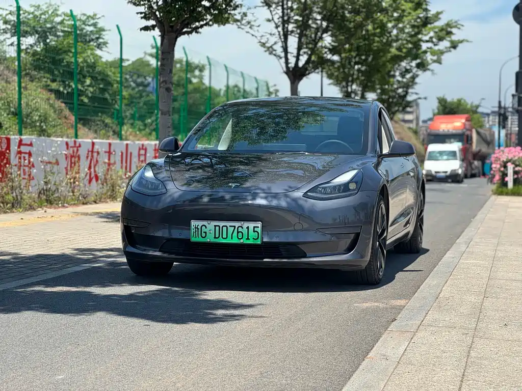Tesla Model 3 2021