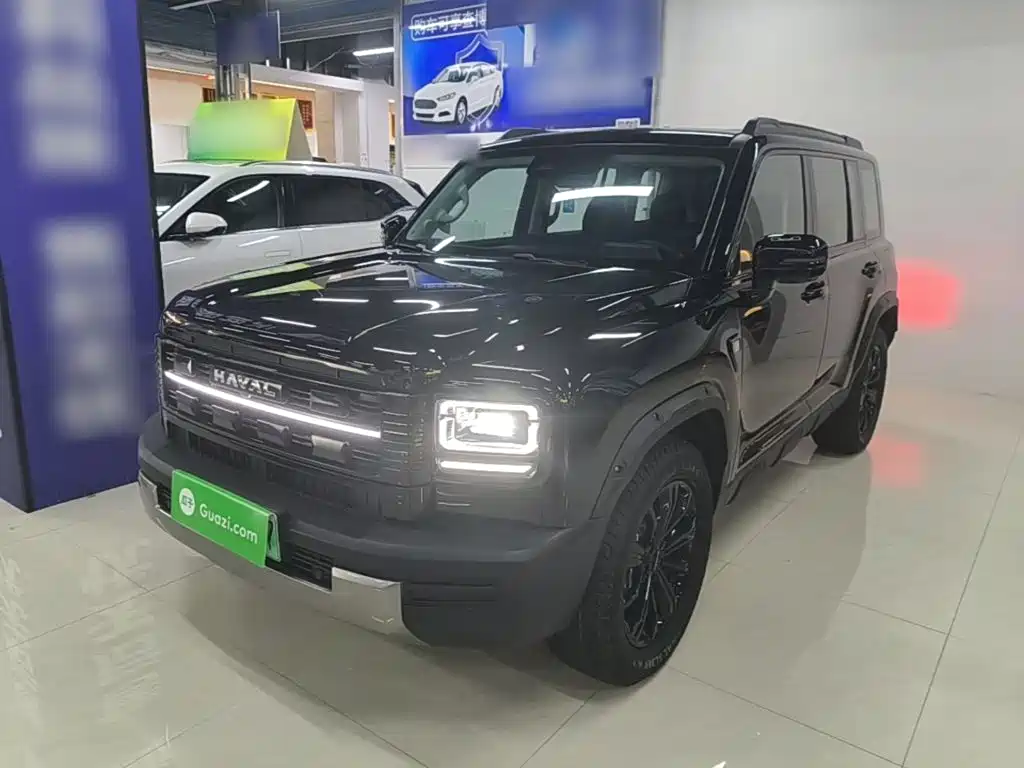 Haval Menglong New Energy — миниатюра 2