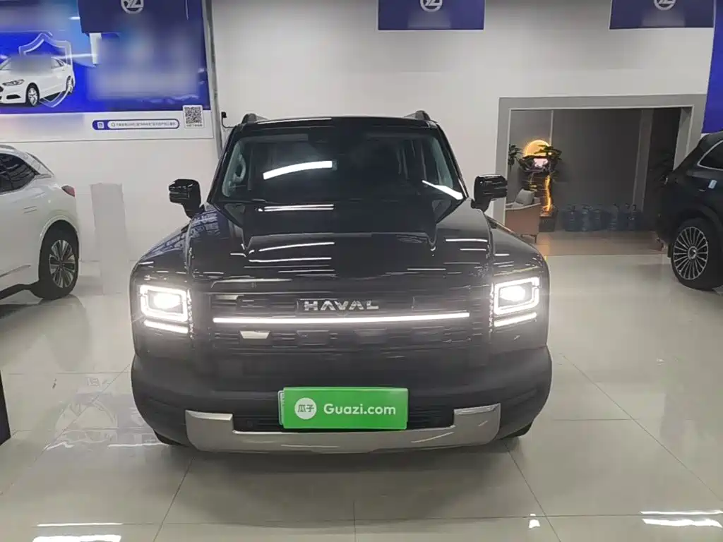 Haval Menglong New Energy — миниатюра 3