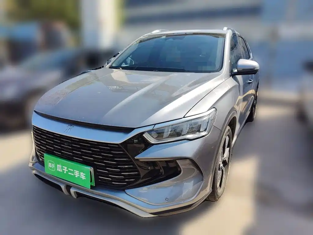 BYD Pro New Energy