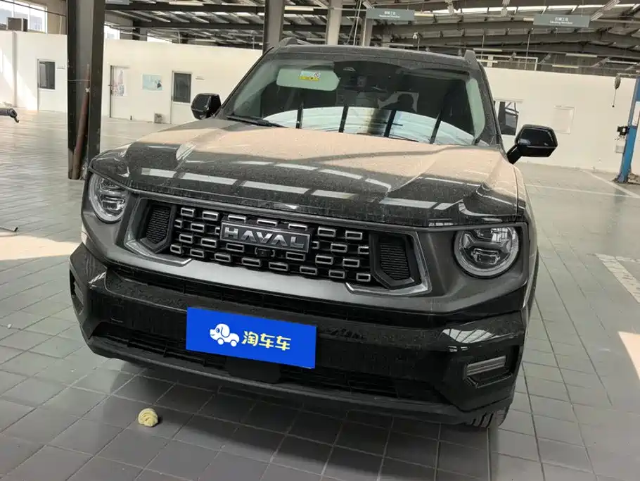 Haval Big Dog PLUS — миниатюра 2
