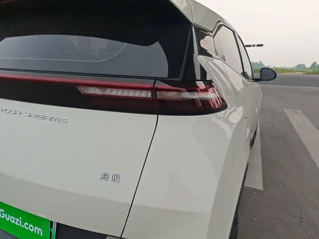 BYD Seagull 2024 305km