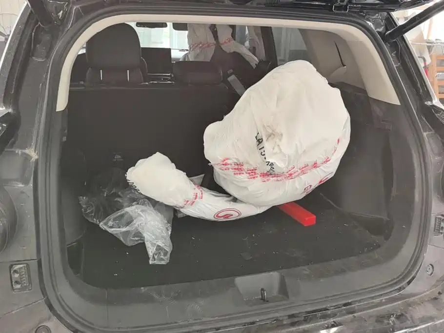 Haval Big Dog PLUS — миниатюра 4