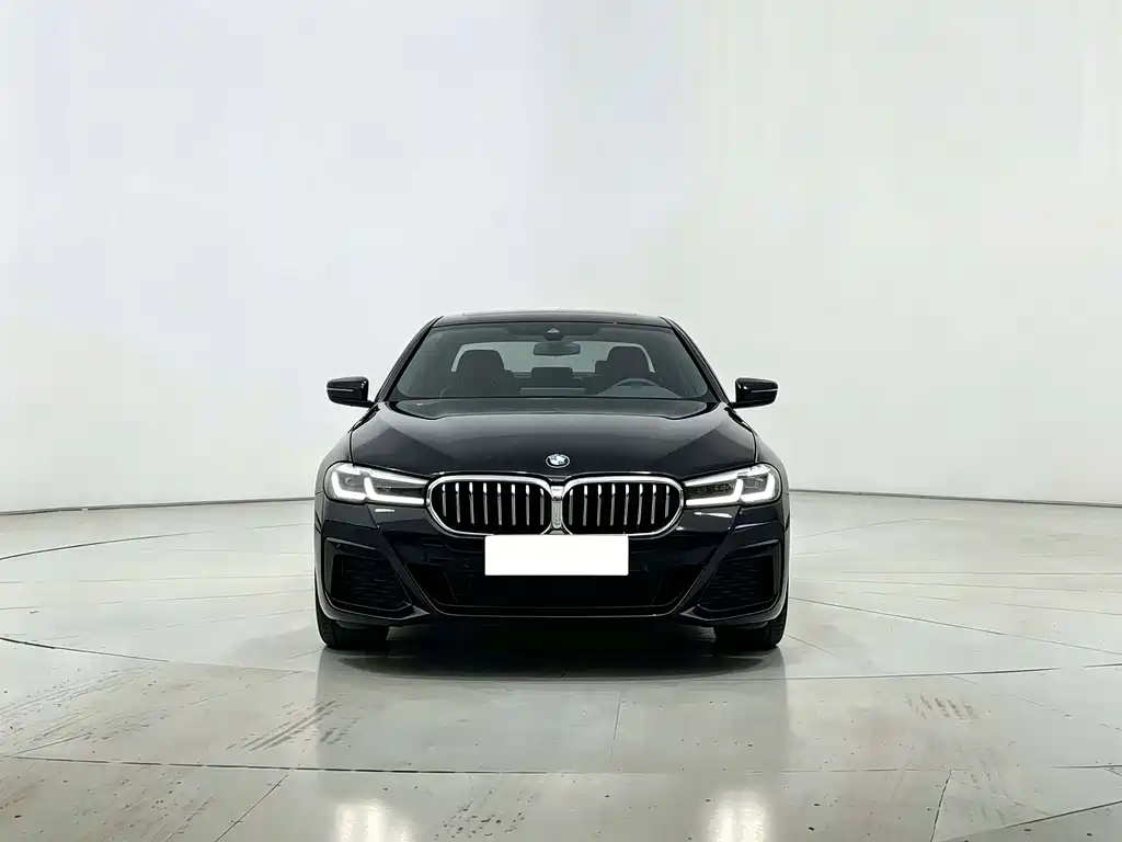 BMW 5 Series — миниатюра 2