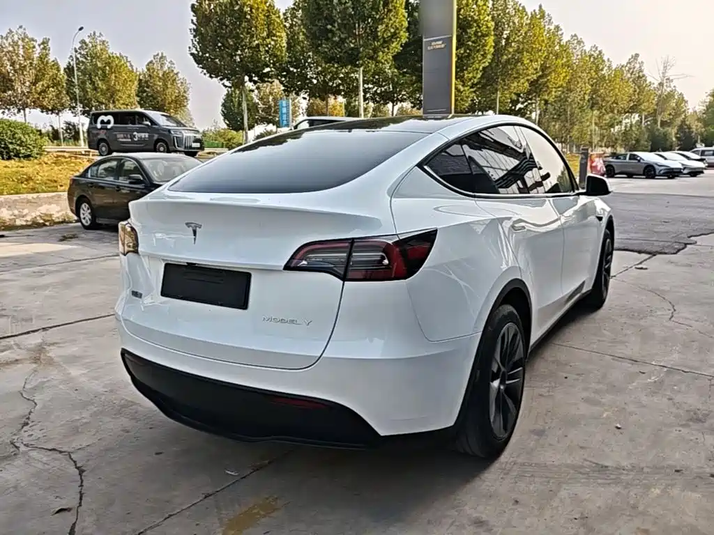 Tesla Model Y — миниатюра 7