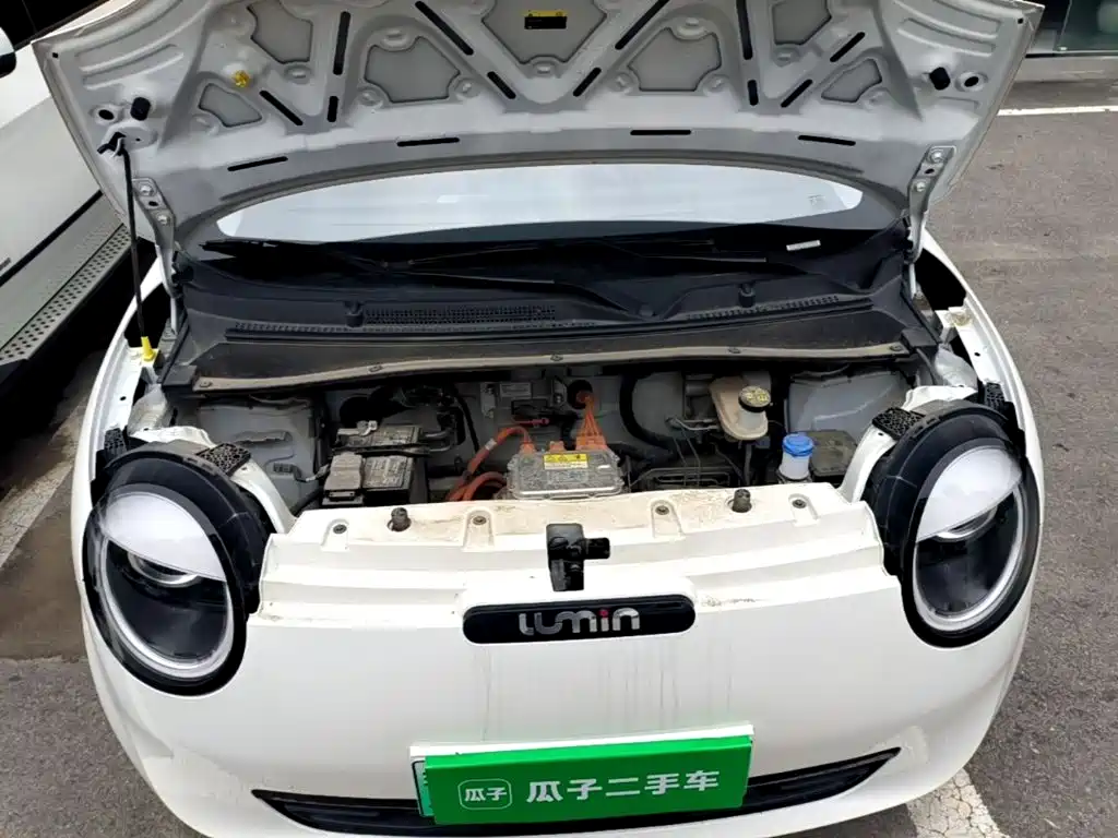 Qiyuan Lumin — миниатюра 20