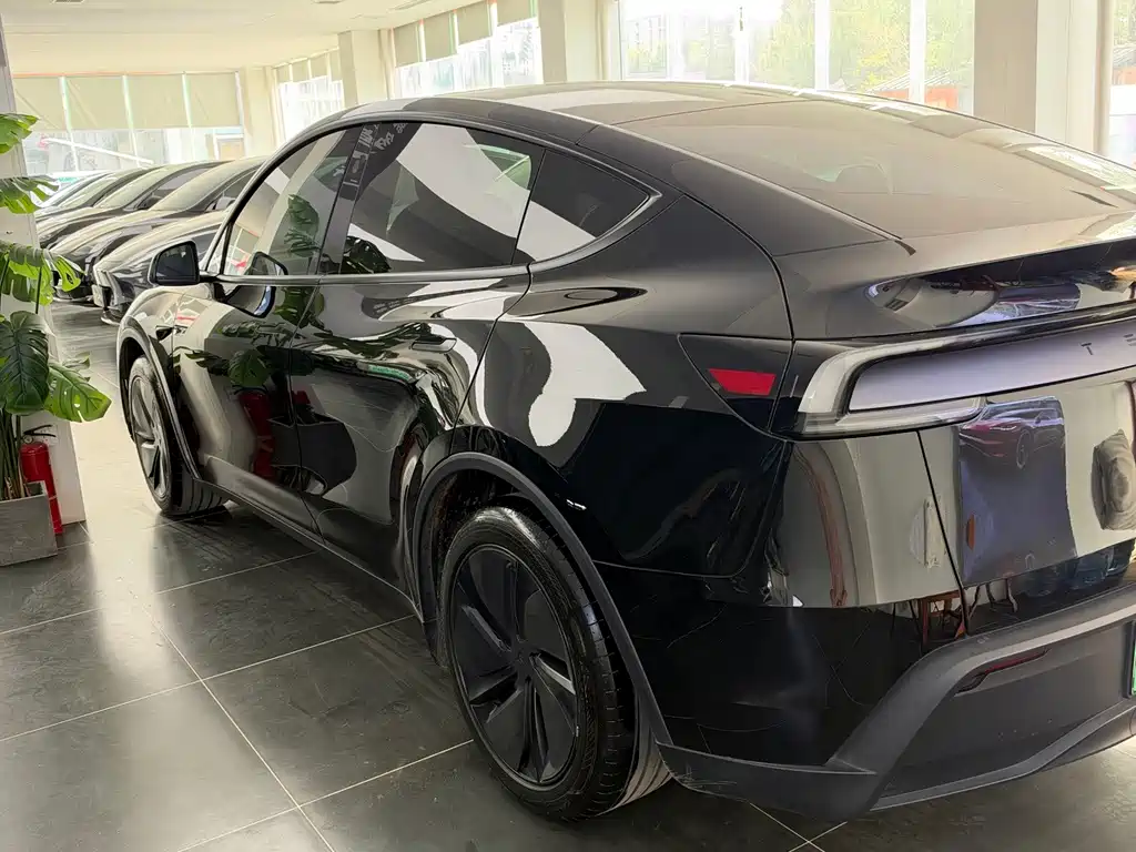 Tesla Model Y — миниатюра 3
