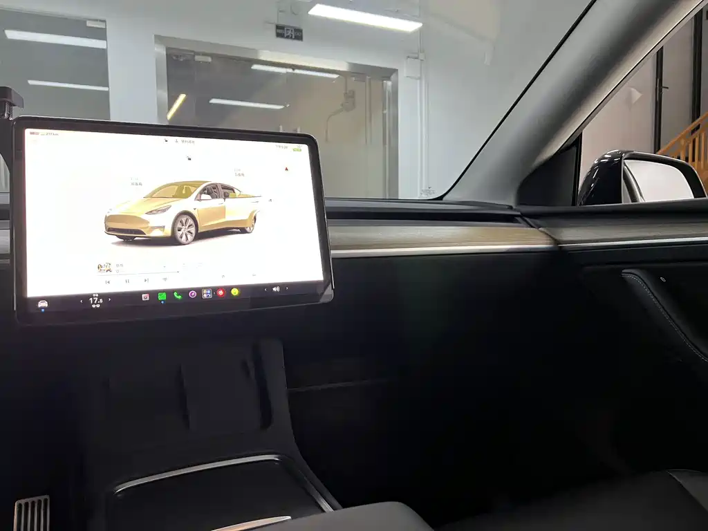Tesla Model Y — миниатюра 19