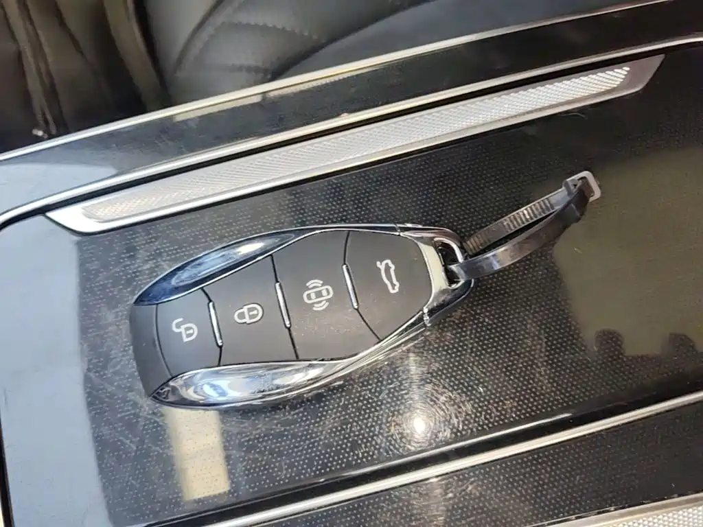 Hongqi HS5 2023 2.0T Pro