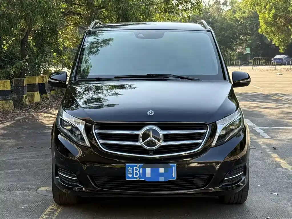 Mercedes-Benz V-Class V 260 Premium Edition China VI, фото 2