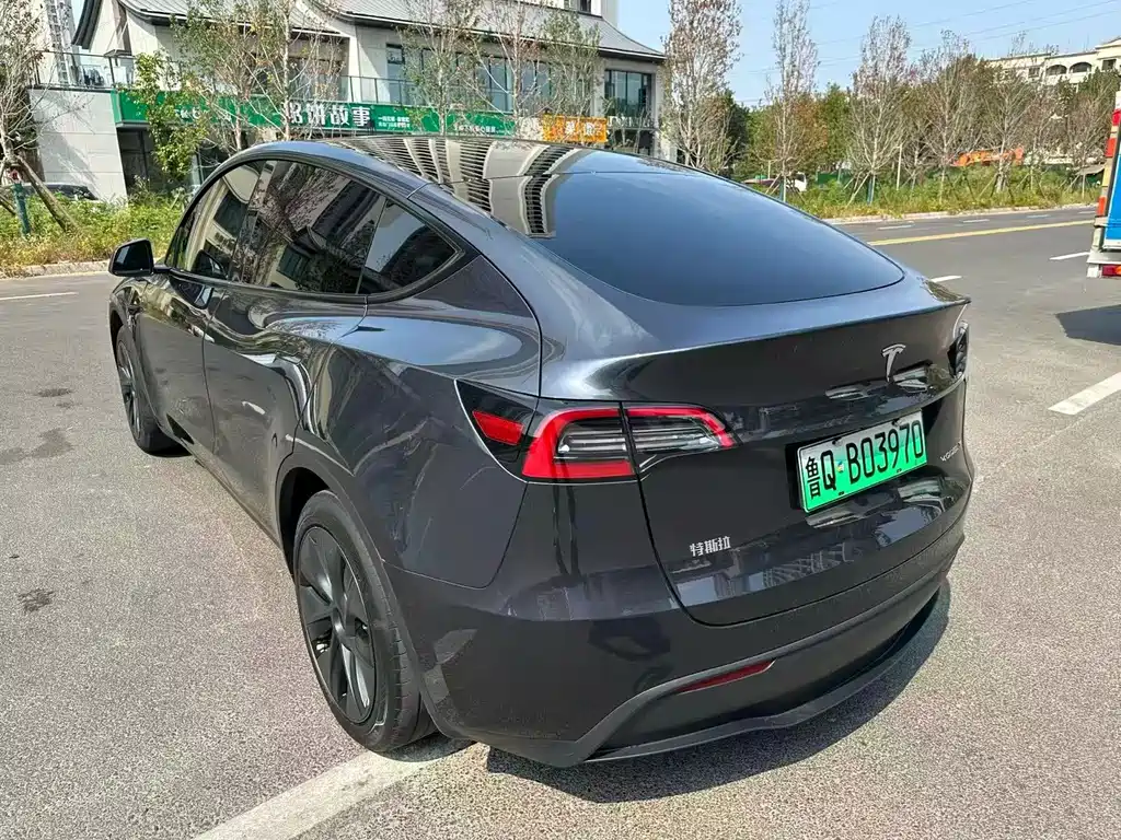 Tesla Model Y — миниатюра 8