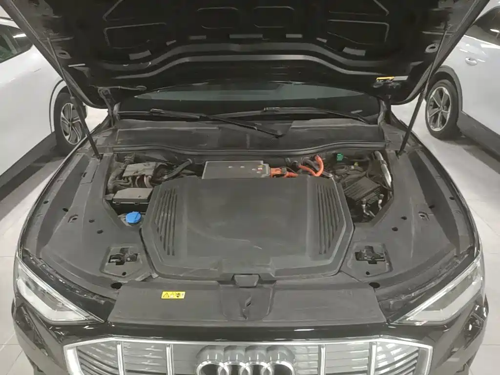 Audi e-tron (Import) — миниатюра 20