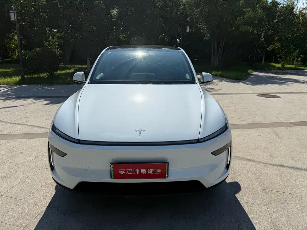 Tesla Model Y — миниатюра 2