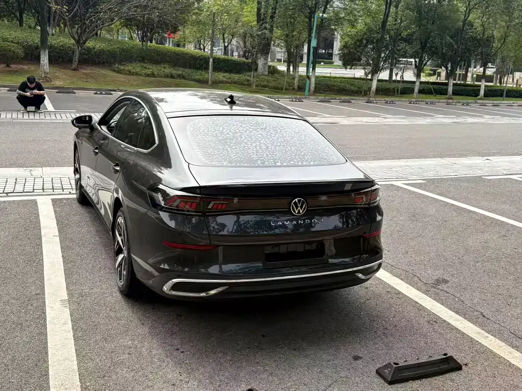 Volkswagen Lamando — миниатюра 10
