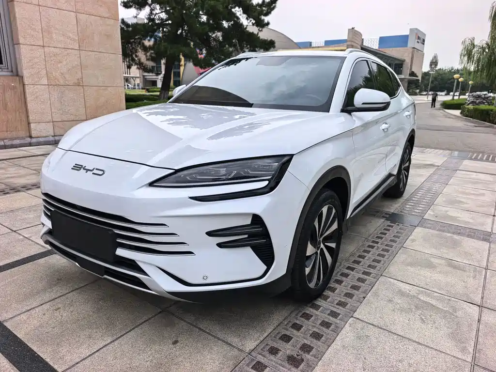 BYD PLUS New Energy — миниатюра 3