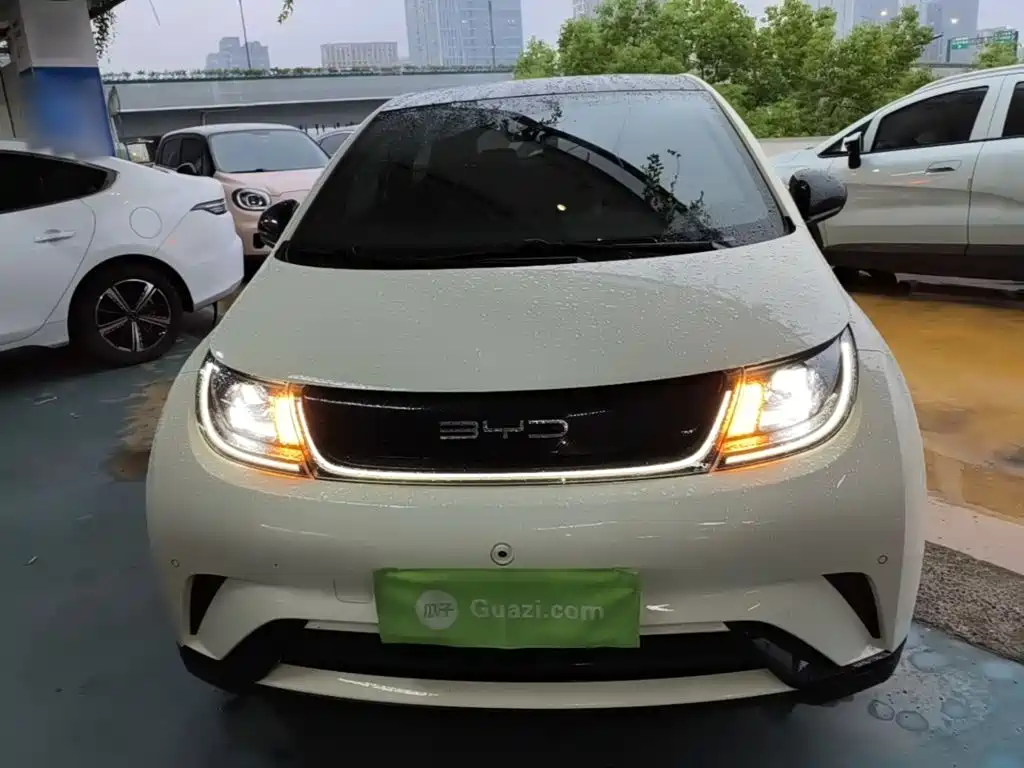 BYD Dolphin — миниатюра 3