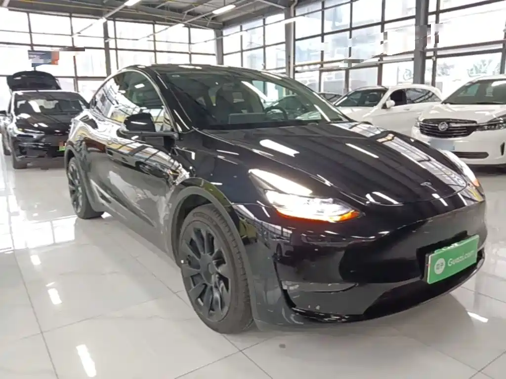 Tesla Model Y — миниатюра 4