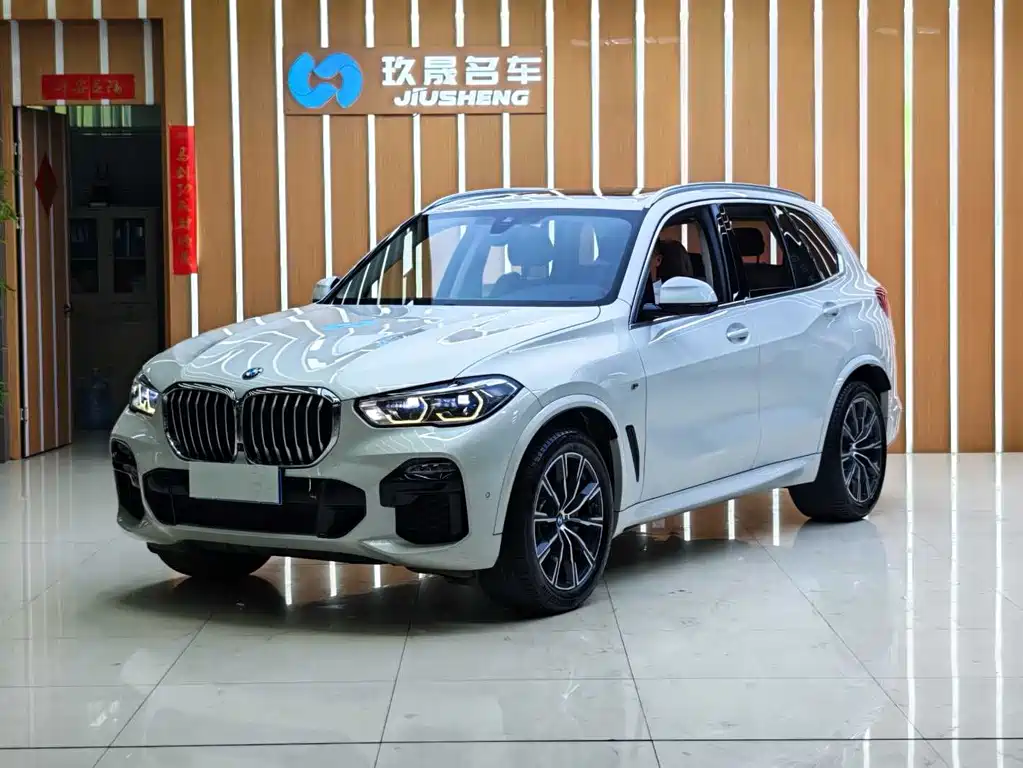 BMW X5 (Import) 2019