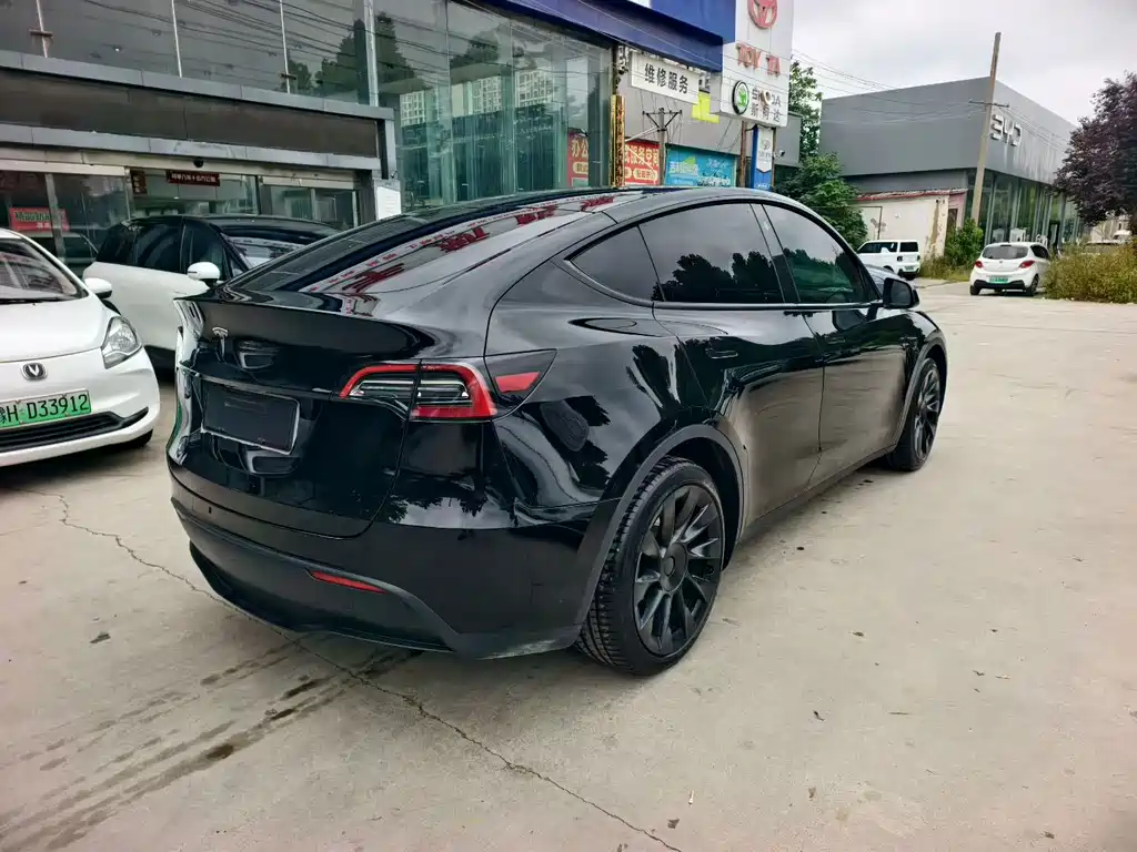 Tesla Model Y — миниатюра 6