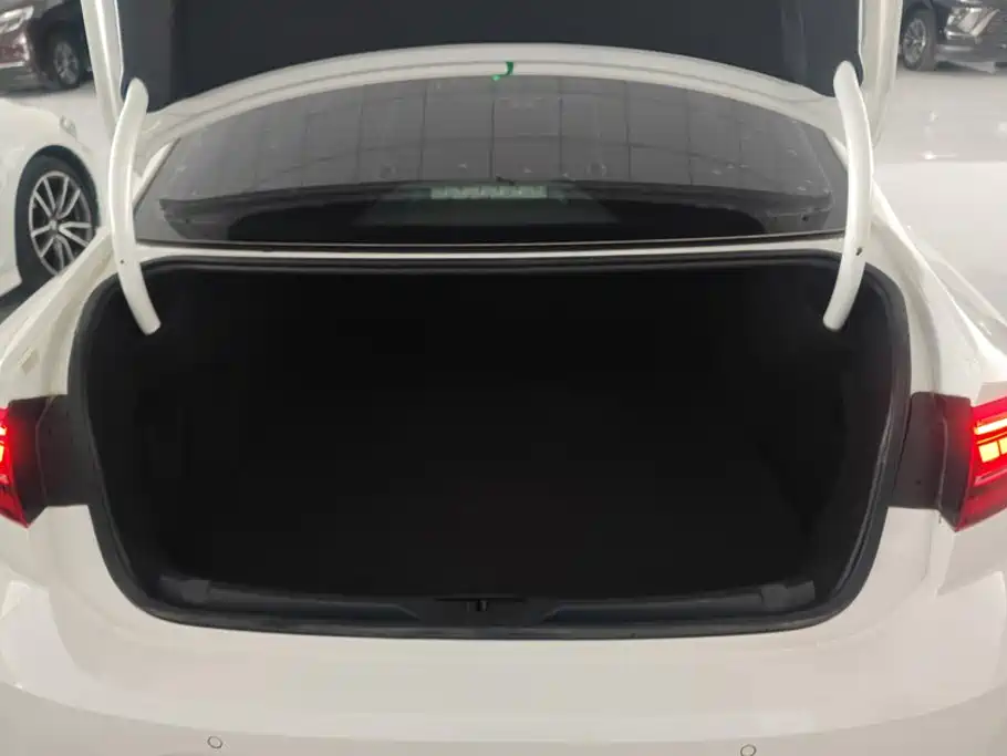 Volkswagen Lamando — миниатюра 4