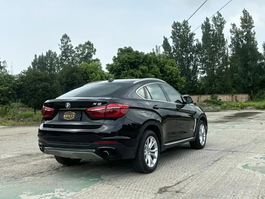 BMW X6 — миниатюра 11
